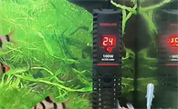 水族箱加热棒怎么调温度