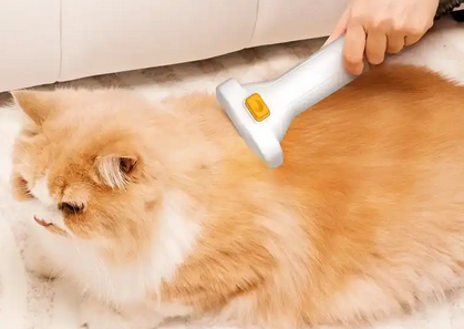 宠物吸毛哪款吸尘器好