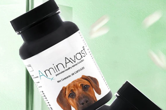 AminAvast安心停,让猫狗远离肾病困扰 AminAvast安心停,让猫狗远离肾病困扰