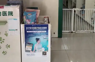 贝乐康宠物医院好吗 贝乐康宠物医院好吗