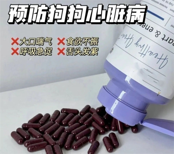 宠物辅酶q10是骗局吗
