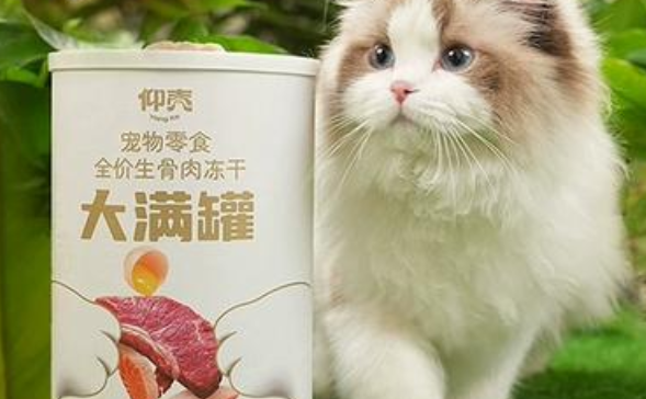 仰壳宠物零食:宠物味蕾与健康的双重呵护 仰壳宠物零食:宠物味蕾与健康的双重呵护