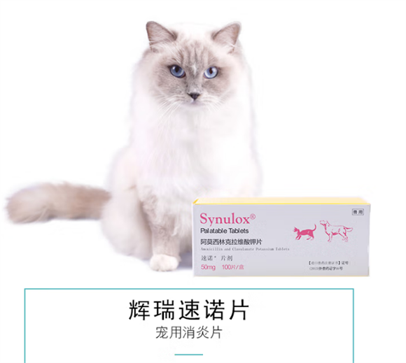 辉瑞速诺片:宠物健康的抗菌小卫士 辉瑞速诺片:宠物健康的抗菌小卫士