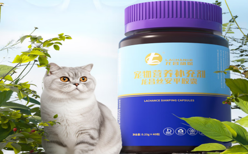 龙昌小宠