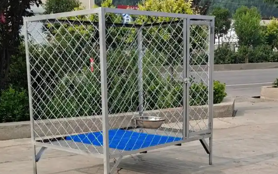 漆皮狗狗笼子怎么样 漆皮狗狗笼子怎么样