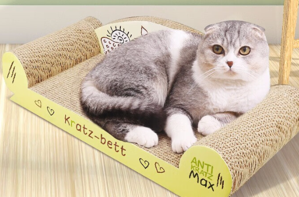 派乐特猫抓板可以当猫窝用吗 派乐特猫抓板可以当猫窝用吗
