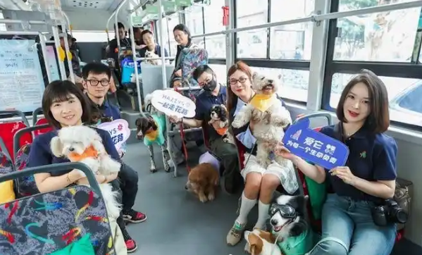 HAZZYS在南京举办爱宠嘉年华,萌力全开!