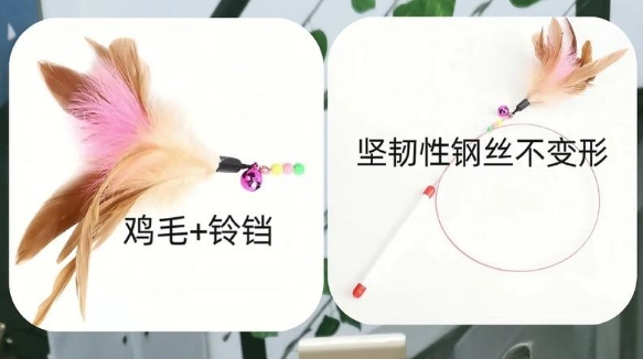 宠多乐逗猫棒的作用是什么 宠多乐逗猫棒的作用是什么