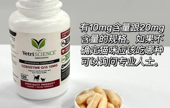 宠物辅酶q10有必要买吗