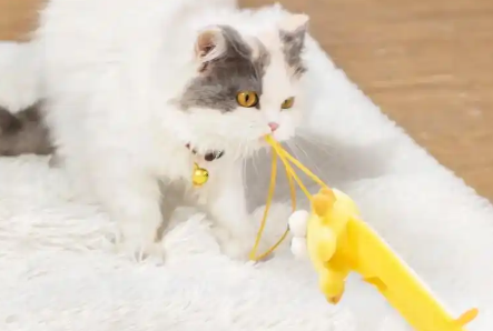 饰宠喵逗猫棒为什么会引起猫的兴趣 饰宠喵逗猫棒为什么会引起猫的兴趣