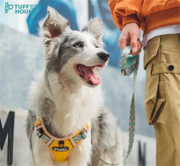 TUFF HOUND‌狗牵引绳坏了怎么修