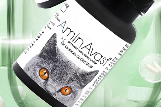 AminAvast安心停,让猫狗远离肾病困扰 AminAvast安心停,让猫狗远离肾病困扰