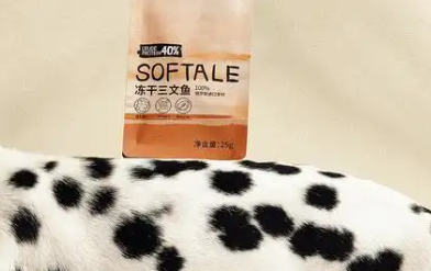 ADOLPHUS宠物用品售后服务介绍,快看看 ADOLPHUS宠物用品售后服务介绍,快看看