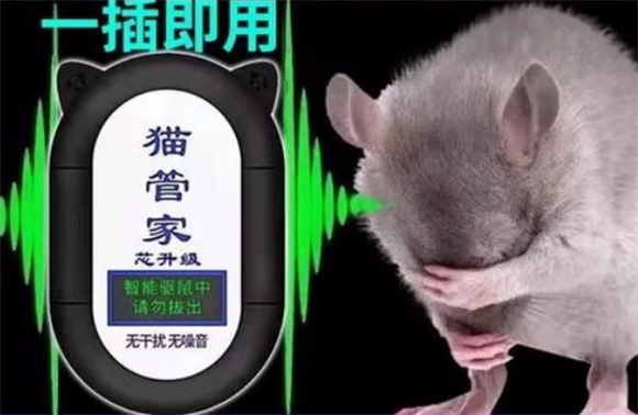 猫管家驱鼠器到底有没有效果
