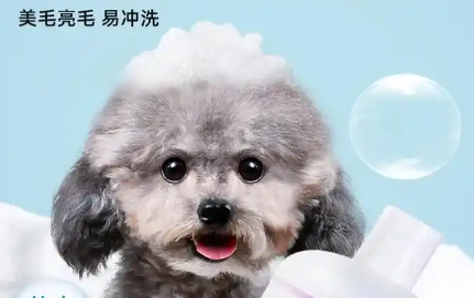 yuup宠物沐浴露过期了还能用吗