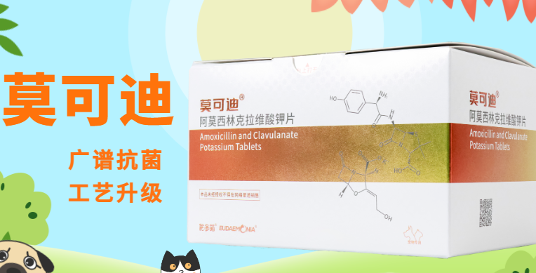 佑多萌莫可迪价格 佑多萌莫可迪价格