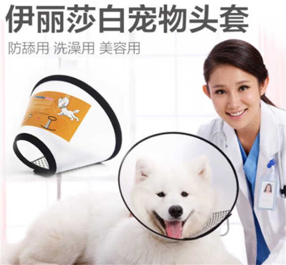大猫日记伊丽莎白圈猫咪狗狗项圈：舒适与安全的守护