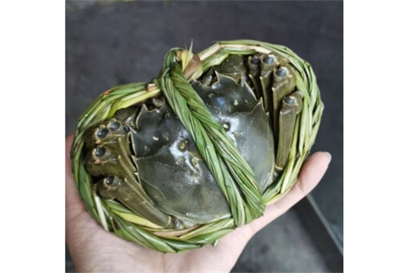 蟹淼大闸蟹怎么样