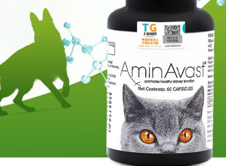 AMINAVAST：宠物肾脏健康的守护神