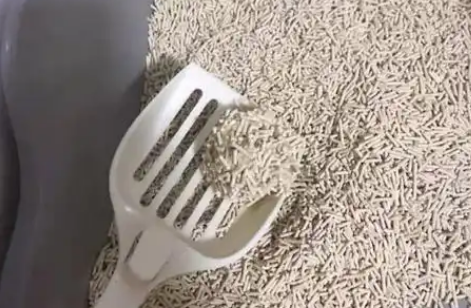 派阿哥猫砂好用吗 派阿哥猫砂好用吗