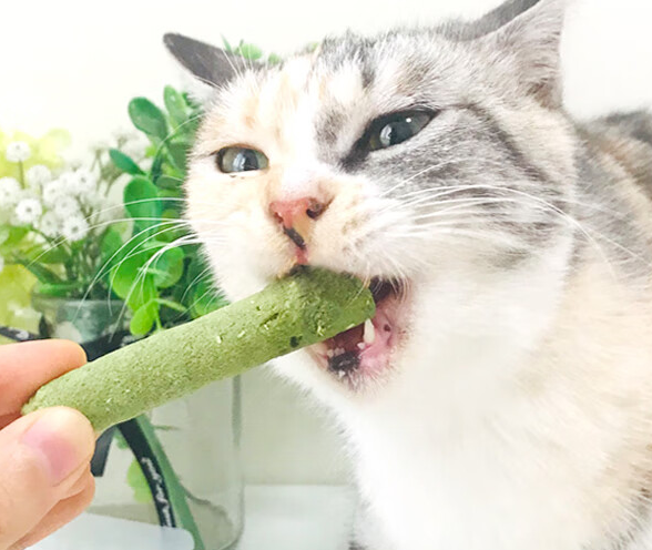凯麦特冻干猫草棒：磨牙解馋，轻松应对挑食