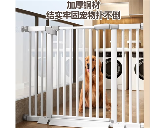 漆皮狗宠物围栏多少钱 漆皮狗宠物围栏多少钱