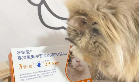 猫咪驱虫新选择:妙宠爱升级版来袭! 猫咪驱虫新选择:妙宠爱升级版来袭!
