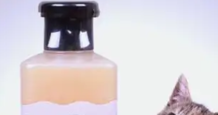 yuup宠物沐浴露要稀释吗