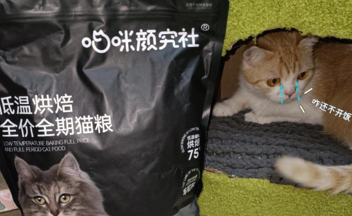 喵咪颜究社猫粮：更好的呵护猫咪健康
