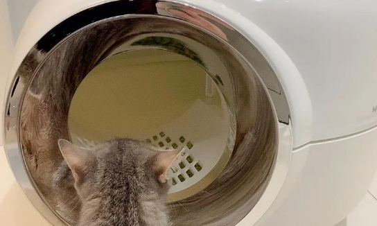 M-PETS猫砂盆哪种款式比较好 M-PETS猫砂盆哪种款式比较好