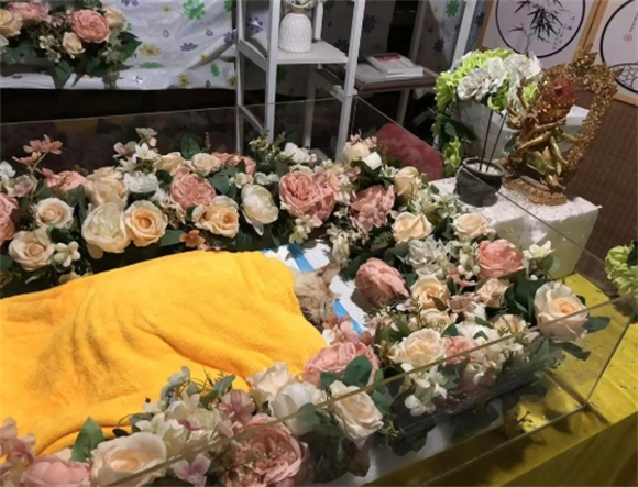 如尘宠物殡葬贵吗 如尘宠物殡葬贵吗
