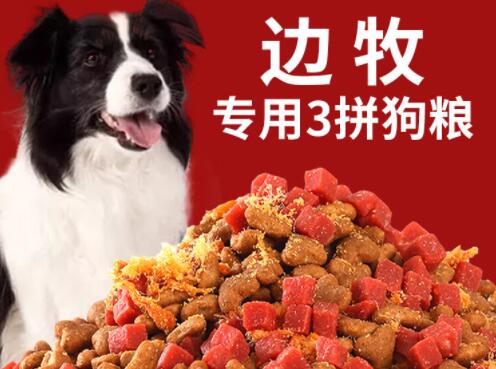 金爵朗狗粮怎么样 金爵朗狗粮怎么样