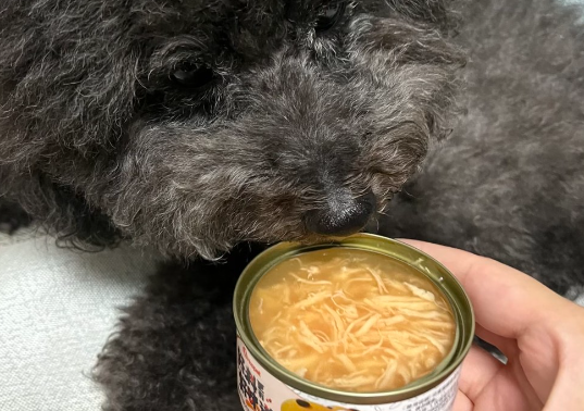 狗狗吃罐头的好处和坏处