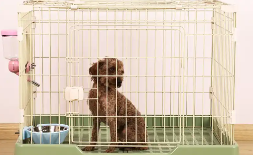 宠物笼子多少钱一个
