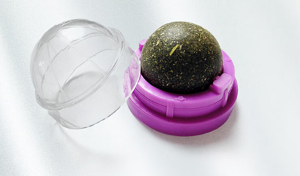 企腾星选宠物零食好吗 企腾星选宠物零食好吗