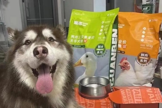观本狗粮是哪家公司生产