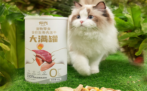 仰壳
