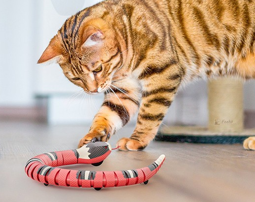 贞喜气逗猫玩具，集趣味、智能与互动的猫咪玩具