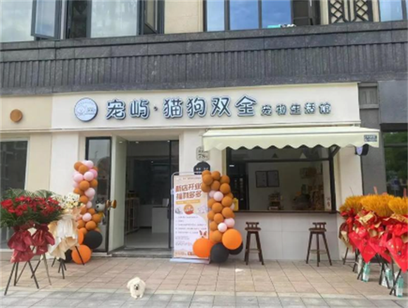 宠屿宠物店:一场让狗狗爱上洗澡的治愈之旅 宠屿宠物店:一场让狗狗爱上洗澡的治愈之旅