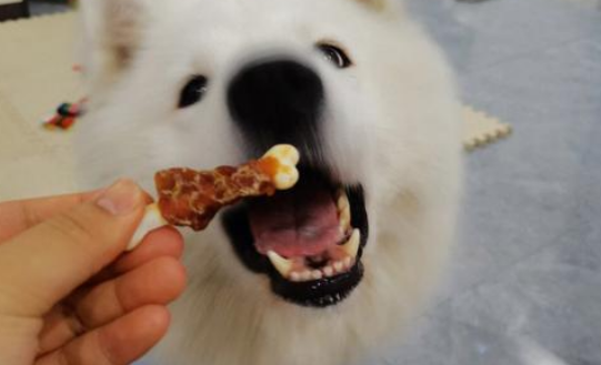 Peton风干零食,狗狗超爱! Peton风干零食,狗狗超爱!