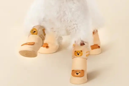 宠物鞋子哪家的好