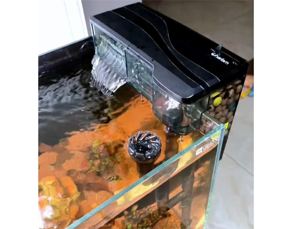 鱼缸过滤器哪种过滤效果好
