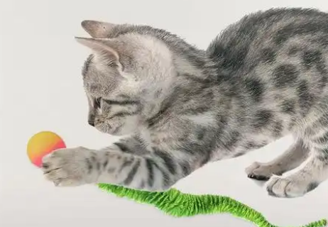 猫玩具什么牌子最好