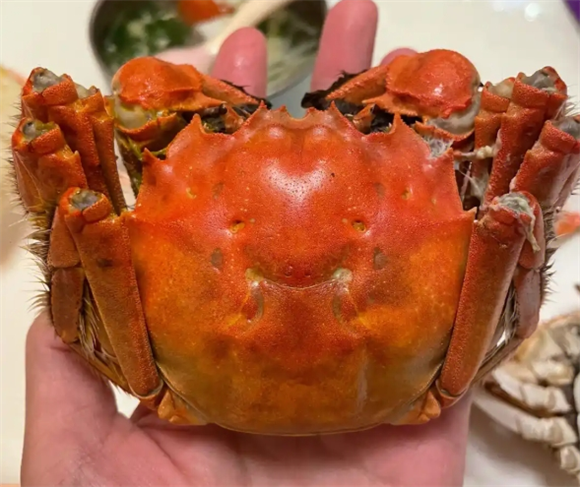 鲟好物大闸蟹有什么特点