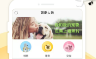 有宠app靠谱吗