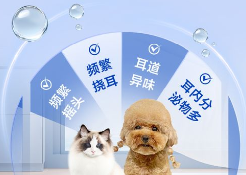 修正新关爱宠物体内驱虫药:为宠物肠道健康筑牢防线 修正新关爱宠物体内驱虫药:为宠物肠道健康筑牢防线