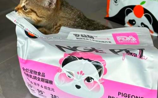 橙宠猫粮堪称美味诱惑，简直是挑食克星！