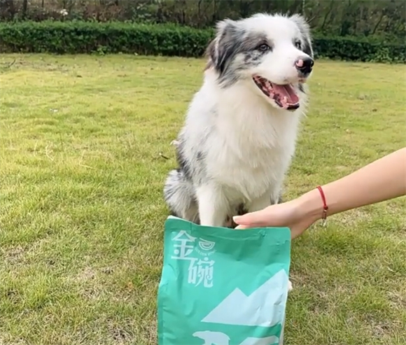 金碗狗粮属于什么档次