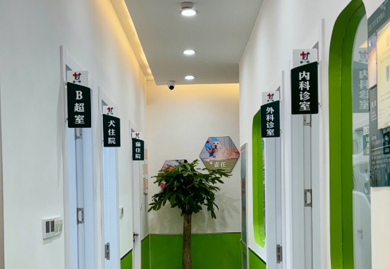 贝乐宠物医院可以做绝育吗