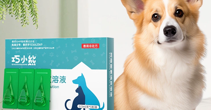 巧小熊到底能不能驱虫 巧小熊到底能不能驱虫